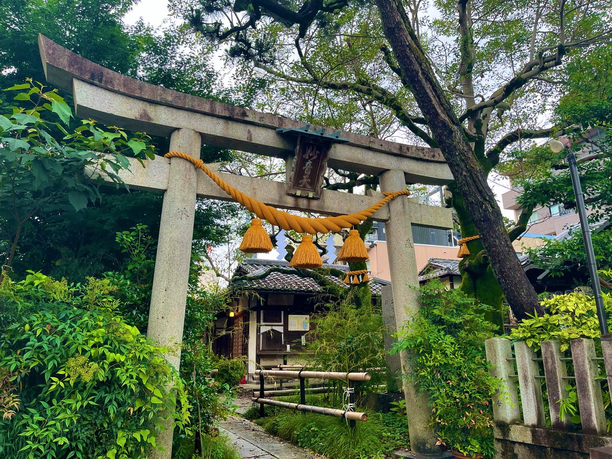 hamaromannn's tweet photo. 今日は巳の日だったので、帰りにそのまま出町柳まで出て、出町弁財天様にもご挨拶してきました🫡眼福にどうぞ🐍🤭✨

#ハマロマン🐾 https://t.co/JDghgdRecD