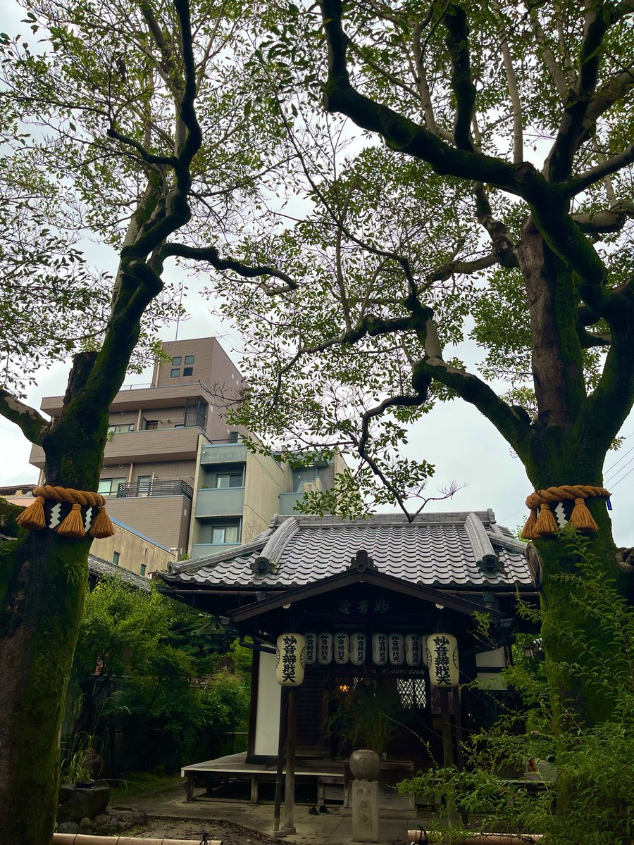 hamaromannn's tweet photo. 今日は巳の日だったので、帰りにそのまま出町柳まで出て、出町弁財天様にもご挨拶してきました🫡眼福にどうぞ🐍🤭✨

#ハマロマン🐾 https://t.co/JDghgdRecD