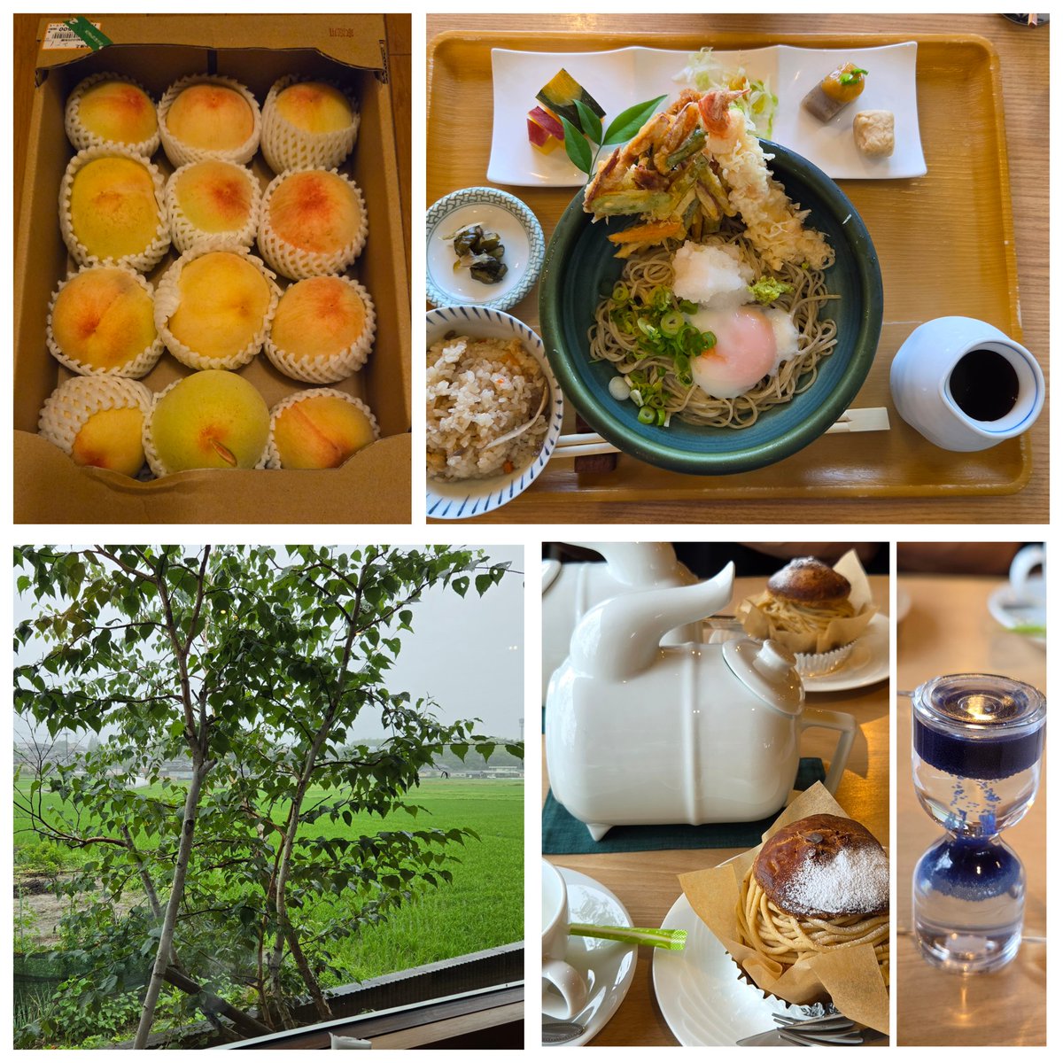 rengetsu's tweet photo. 今日は桃を買いに～🥰そして早めのランチとカフェ。どちらも美味しくて〰️。カフェは窓際のお席で、前の木に鳥🐦が来て😍紅茶のポットは時間がきたら立てるのよ。こんなポット初めてだし砂時計もおしゃれ～🤩道の駅で野菜や本わらび餅も買って大満足😋 https://t.co/AfuLto9xeD