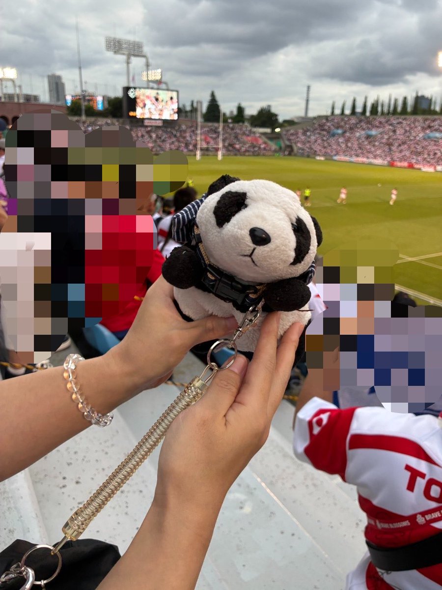suttokopanda's tweet photo. ラグビーの代表戦行ったよ！
日本が勝ったよ！

#ぬいどり
#ぬい撮り
#パンダ
#ぬいぐるみ https://t.co/dw04JfmtuY