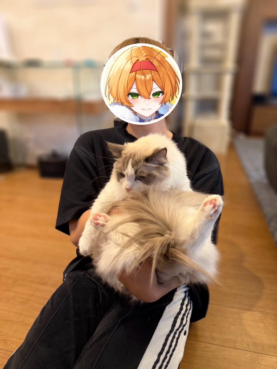 kanichan_2255's tweet photo. そらびび家のぽわ氏にしつこくちょっかいかけまくった結果…

無事、確保しました。 https://t.co/4MvUApMxuT