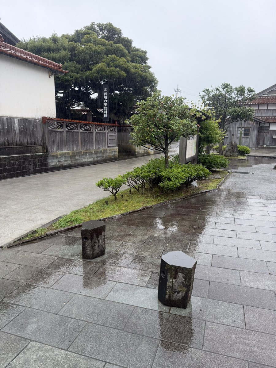 Tomo_Morishita_MantleLab tweet media