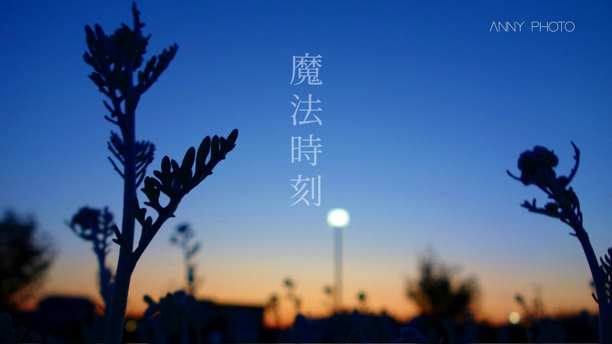 Kenbanya_Anny's tweet photo. 心地よいマジックアワー https://t.co/o8WgIvUtdk