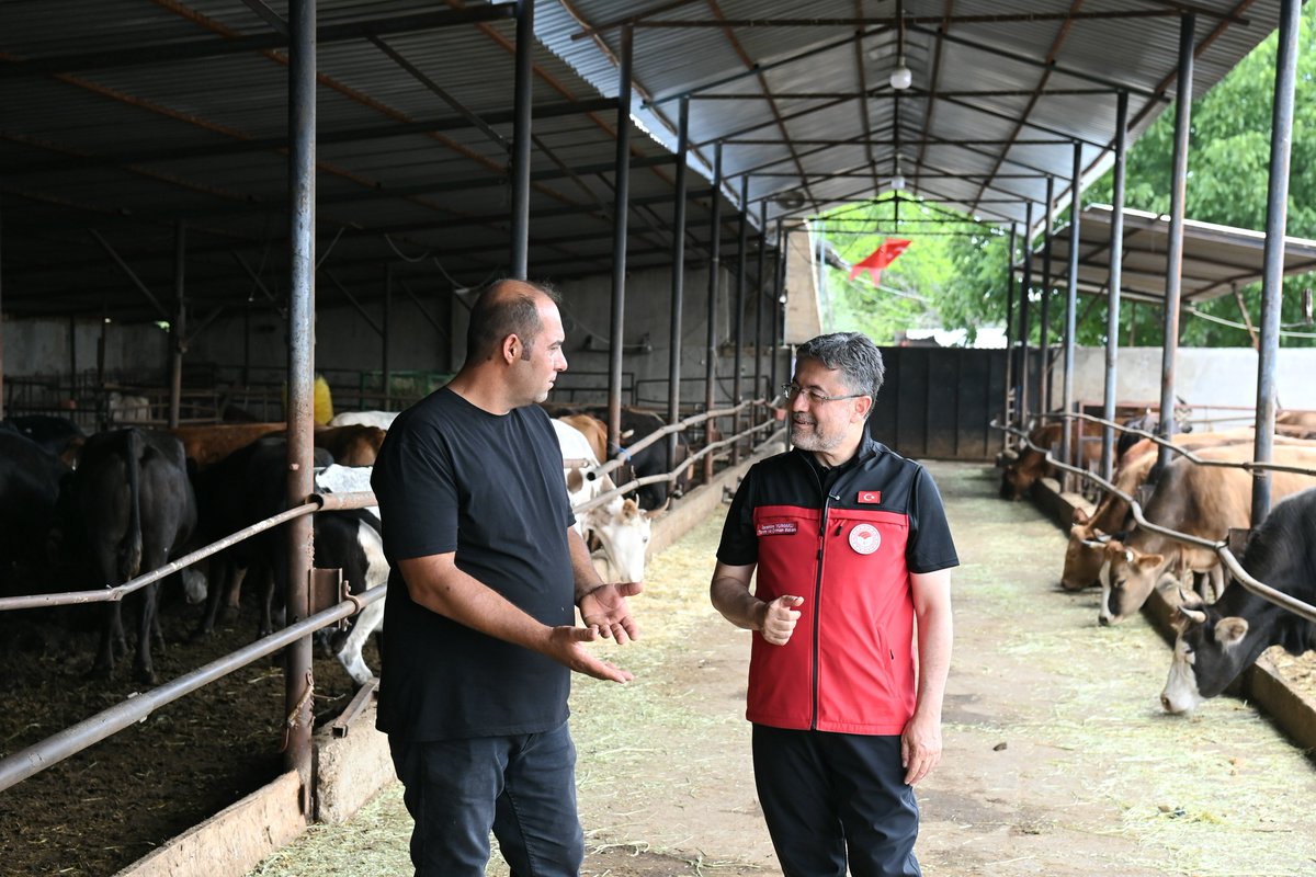 ibrahimyumakli's tweet photo. 🐂🐄 Üretime inanan, emeğini markalaştıran ve hayvancılığı tutkuyla sürdüren örnek bir aile işletmesindeyiz.

👨🏻‍🌾 Rahmi Konkur kardeşimiz; hastalıklardan ari işletmesi, kaliteli besilik materyal üretimi ve yenilikçi üretim modeliyle sektörümüze değer katıyor.

📲 En önemlisi de bilgi ve tecrübelerini dijital platformlarda paylaşarak hayvancılık yapmak isteyenlere ilham oluyor.

Üretime olan inancı ve özverili çalışmaları dolayısıyla Rahmi kardeşimizi ve ailesini tebrik ediyorum.