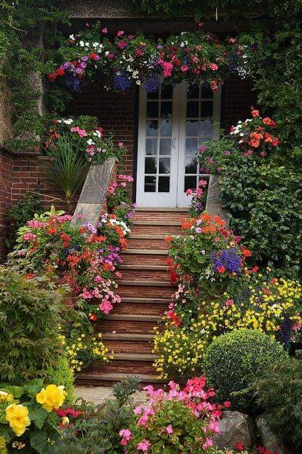 aestheticspost_'s tweet photo. Colorful flowers. https://t.co/tWmHUOsUqJ