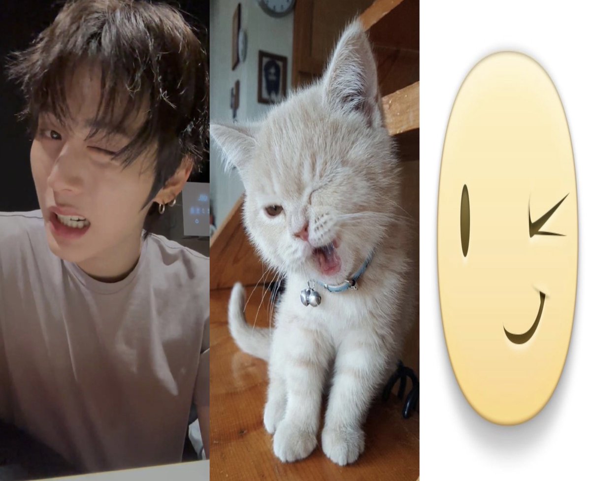 kkurowonie's tweet photo. https://t.co/JpTTzGvuTO