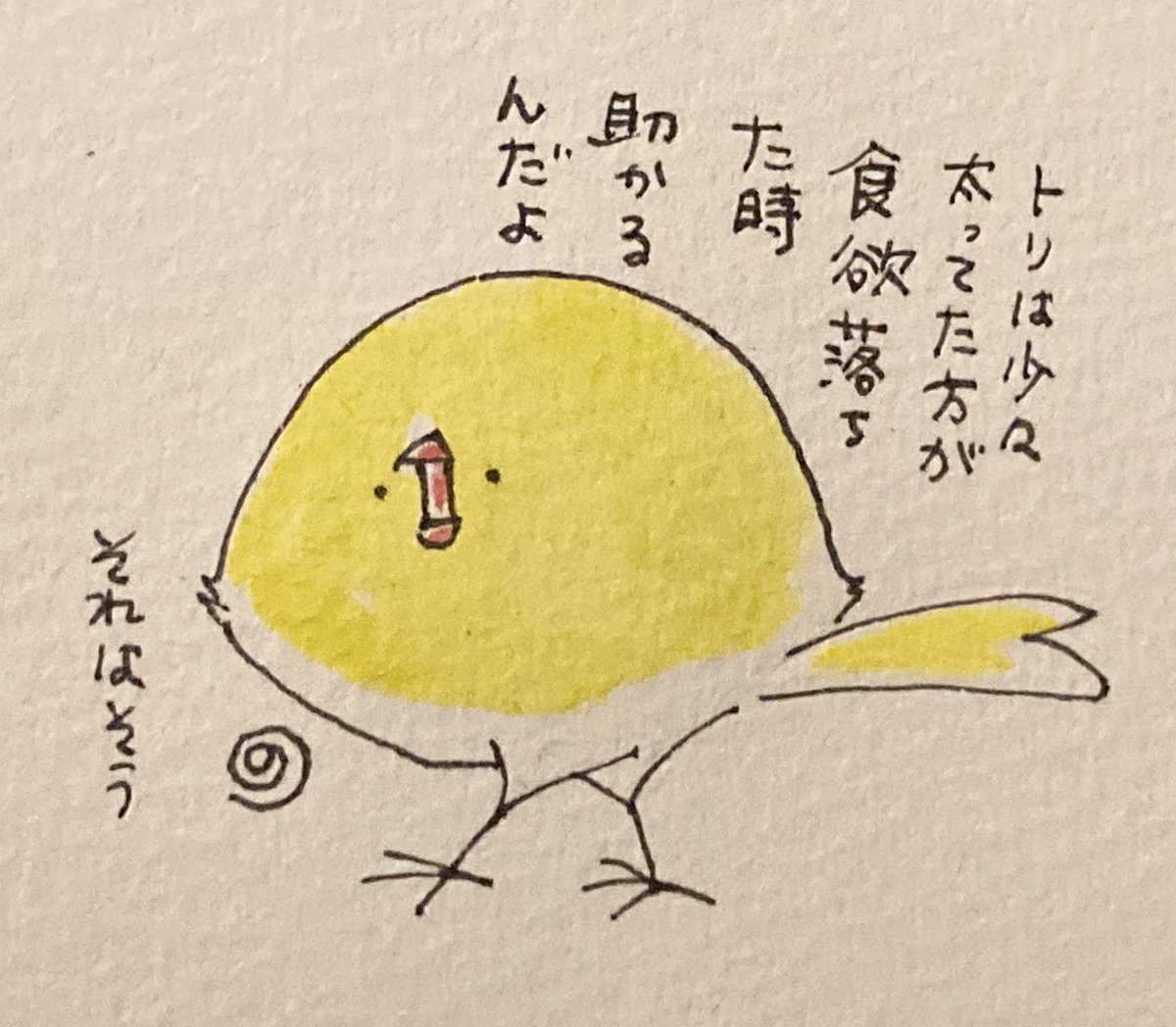 NORISAN鳥タロット新パッケージ発売！ (@okameinko1bunch) / Posts / X