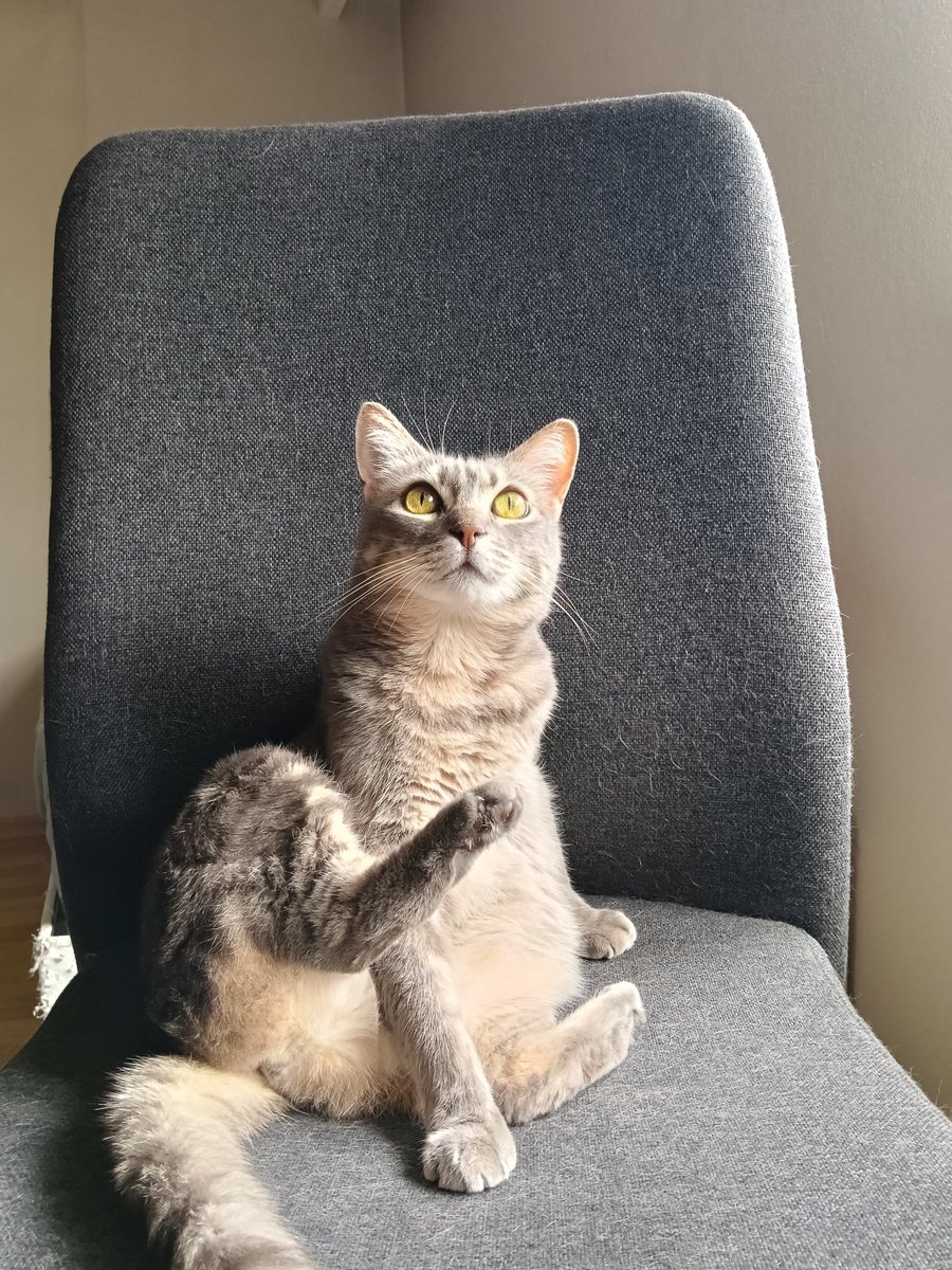 tersdonmus's tweet photo. Benim güzel kızım 13 yılı geride bırakmışız bi 13 yıl daha devam 🧿🧿🧿 https://t.co/wYTXR3Ufyq