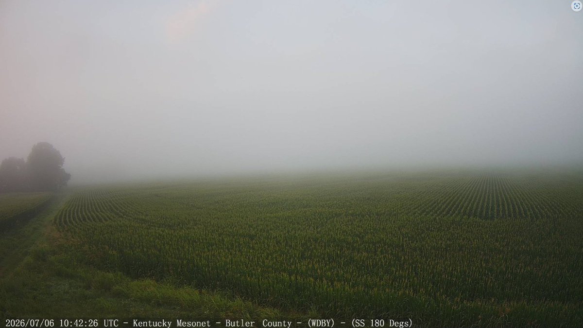 kymesonet's tweet photo. Good Monday morning! Fog drapes over the fields at many locations in the western region this morning. That fog is dense in spots. #kywx https://t.co/7opzP8hMtM