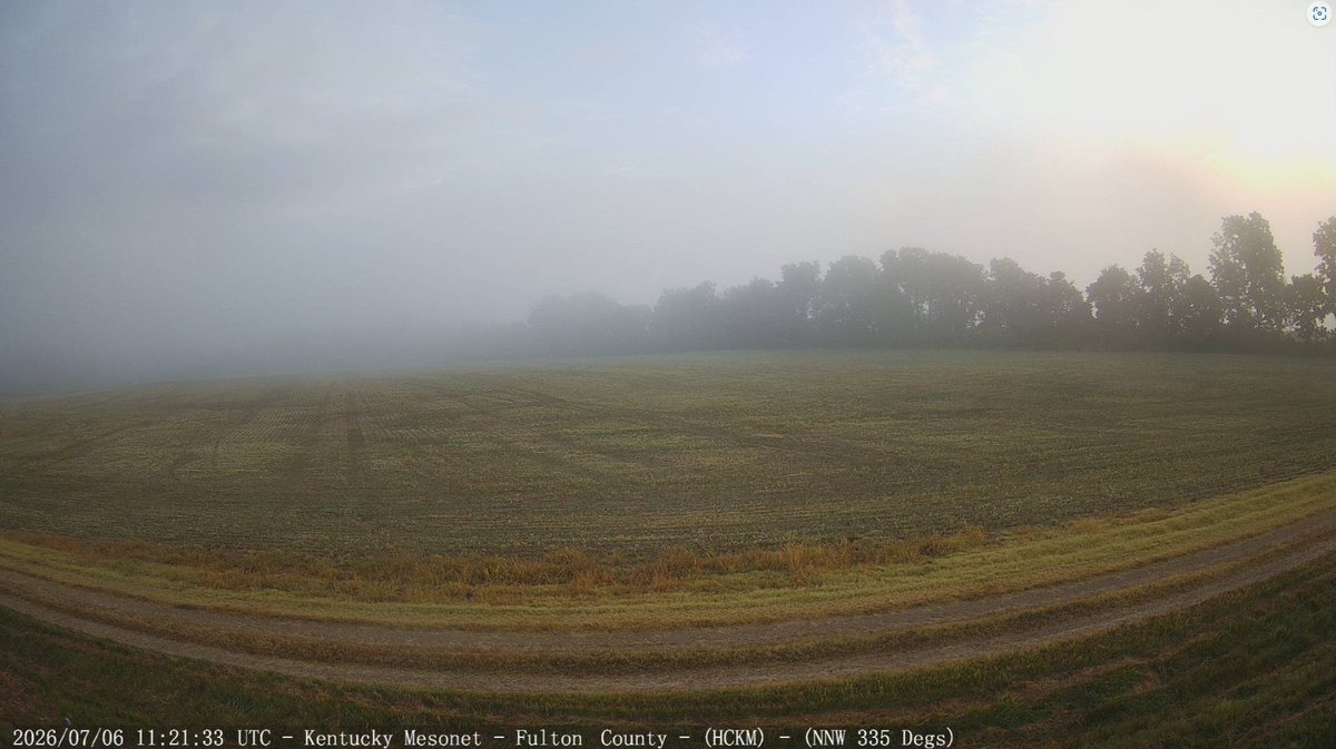 kymesonet's tweet photo. Good Monday morning! Fog drapes over the fields at many locations in the western region this morning. That fog is dense in spots. #kywx https://t.co/7opzP8hMtM