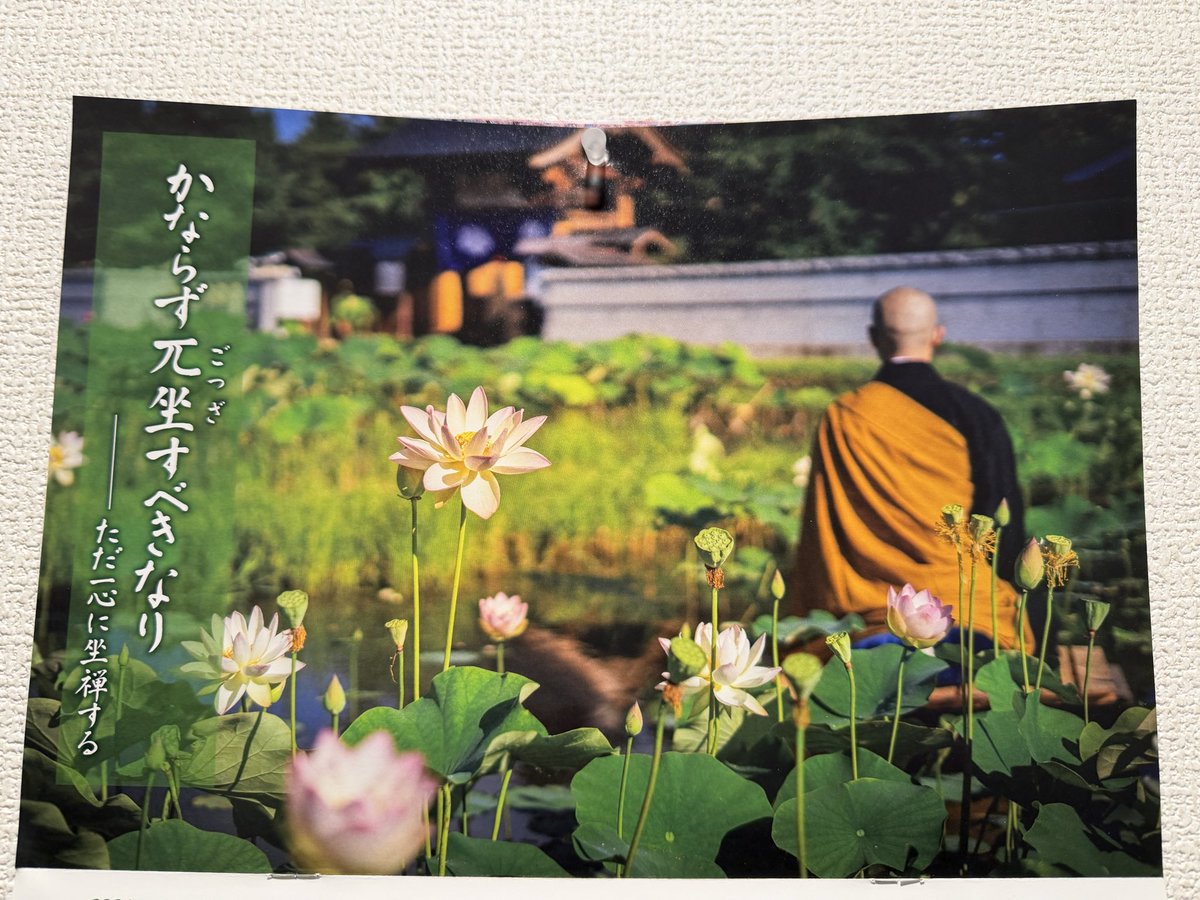 ShokanWatanabe's tweet photo. π https://t.co/CN9m9SHNiW