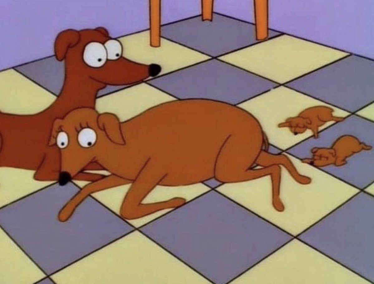 Criminalsimpson's tweet photo. https://t.co/KkzwM1mfB6