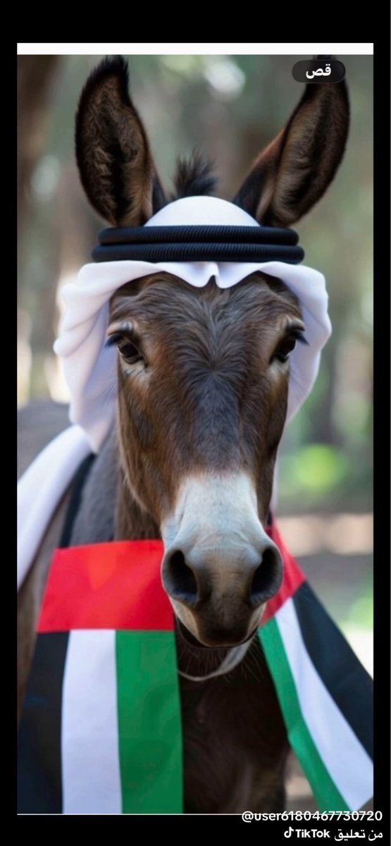 ramzy4aj's tweet photo. @AAS_5G القوواد ابن البنقااليه كاتب اسامي حكام دوويله الحمارات الهندوصهيونيه القادمين
بعد ازاحه البنقالي موهميد زايد
وترحيل شعب الدويله الا دكا ومومباي https://t.co/8Mursjc1WN
