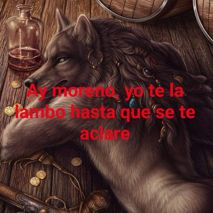 Pau ❄️🐺 #BRINGVALKOBACK tweet media