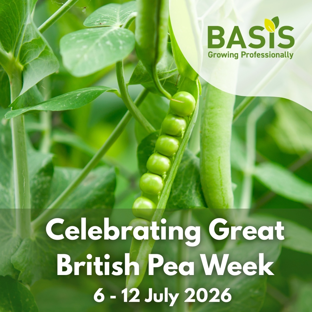 BASISRegLtd's tweet photo. Great British Pea Week (6–12 July 2026)

Recognising this season’s pea crop and the work behind it — thanks for the peas. https://t.co/MyREiIbfBn