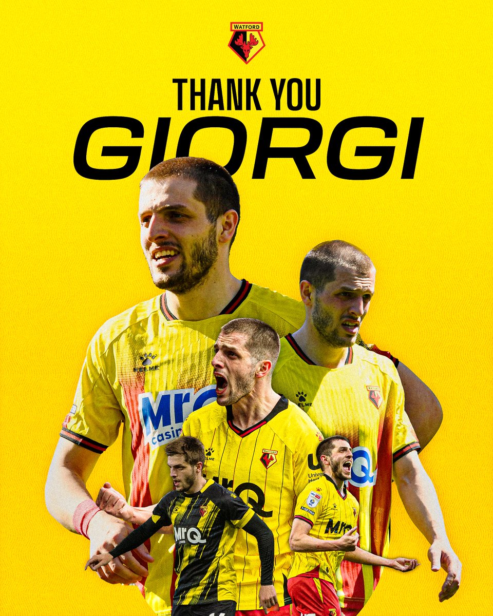 WatfordFC's tweet photo. Giorgi Chakvetadze has completed a permanent move to Udinese. 

Thank you Giorgi, and good luck 💛