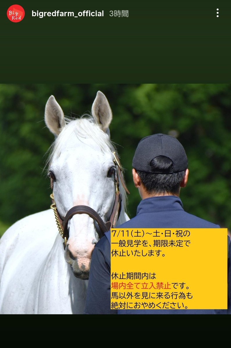 akipiru's tweet photo. ここまで書いたってことは相当またルールとか守らない人増えたんですね…
あの平和だったころが懐かしい😭
期間未定て相当だ😭
#ビッグレッドファーム https://t.co/9lGMTzBLx1