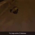 Photo by enrique_bestcoach (@XaviMlo)