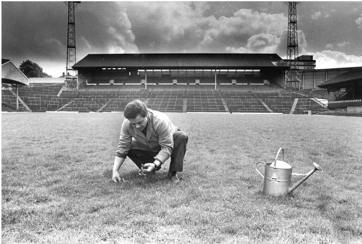 WolvesArchives tweet picture