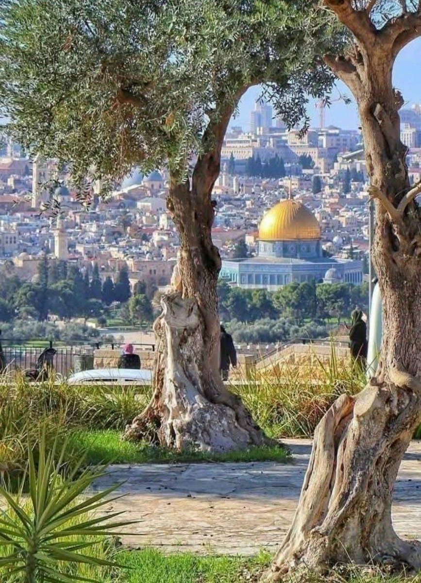 AqsaMosq's tweet photo. على هذه الأرض ما يستحق الحياة 😍

#القدس
#المسجد_الأقصى https://t.co/s3rjQCXKwd