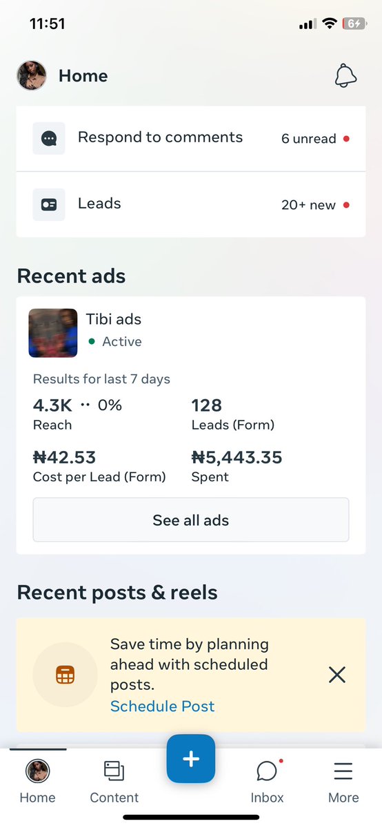 Goodness Tibi tweet media