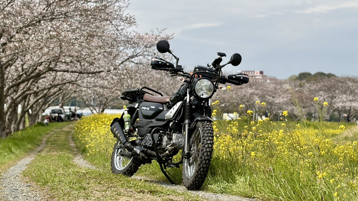 MOTOTOWATA's tweet photo. PG-1いいぞ〜
入ってきたらみんな買いますよ！
YAMAHAさんホンダにいい顔させといていいんですか！？！？
入ってくるついでにタイヤの選択肢も増えろ https://t.co/hUk0V2YUPt