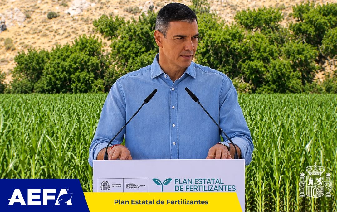 AefaAgro's tweet photo. 🌱 AEFA ha estado presente en la presentación del Plan Estatal de #Fertilizantes, un paso estratégico para avanzar hacia una agricultura más eficiente, innovadora y competitiva.

#SomosAEFA https://t.co/sNpz2GTUL5