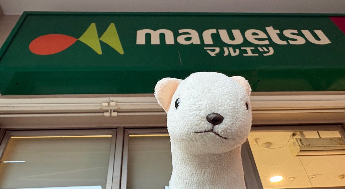 ermine98's tweet photo. 🐻‍❄️連れてってもらったきゅ🚗💨

シュフ！！
わかってるきゅよね！！🐻‍❄️🔪

🐻‍❄️このパスタだけは💻ｶﾀｶﾀ手配できなかったきゅ…最寄りマルエツまさかの車で40分以上
イータイムのトマト缶見つからなかったのと、ココナッツのアイス見るの忘れたきゅ…きゅうのバカバカ https://t.co/dwjkQKDkMf