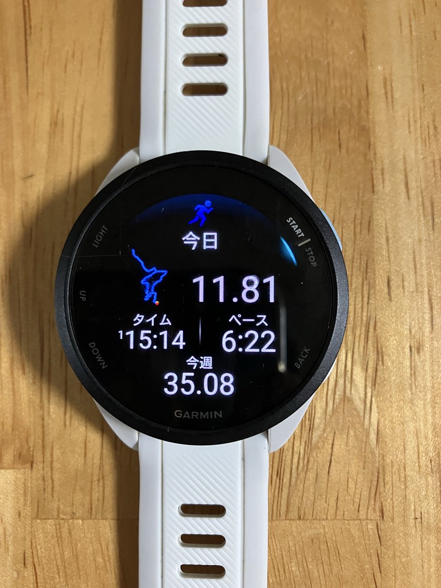 running_tt's tweet photo. 今日は森で12kmジョグしました。蛍20匹に感動。この2kmが大きい。2×30日は60km。3×30なら100近いけど、3は割と時間を食う。それにロングを週一やってる。この感覚が良いかもしれない。 https://t.co/oMB0VKrrtj