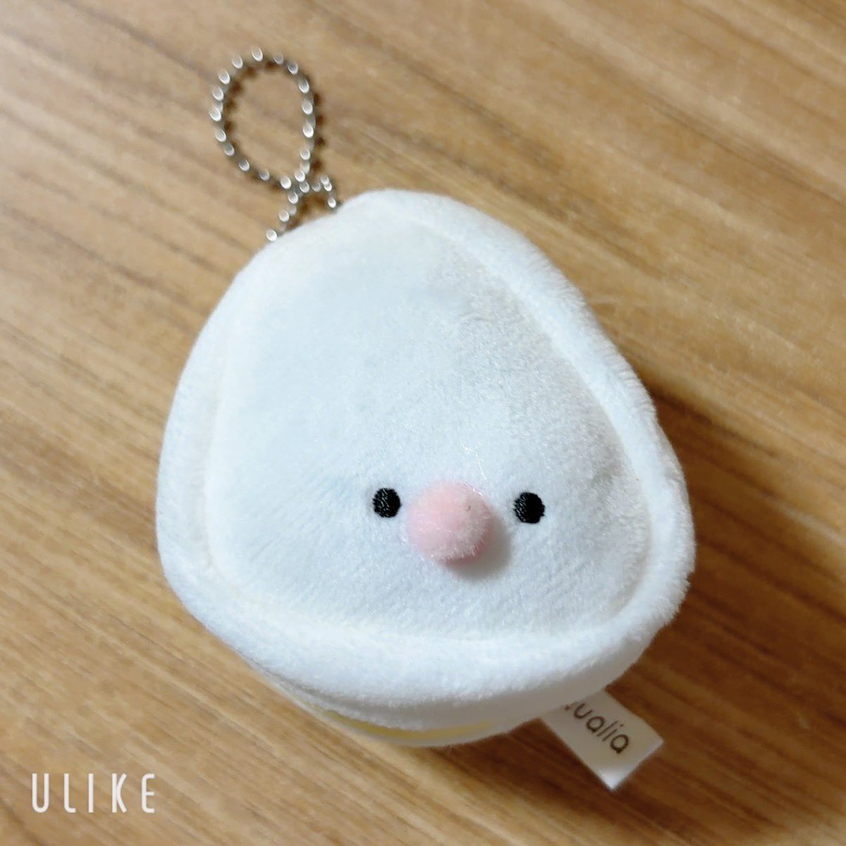 pi_chan_86's tweet photo. イオンのガチャガチャコーナーでみつけた
「文鳥」って書いてなかったけど、私にはぶんちょに見えたので買っちゃった！
顔の位置が微妙だけど https://t.co/3ryJaWHdgL