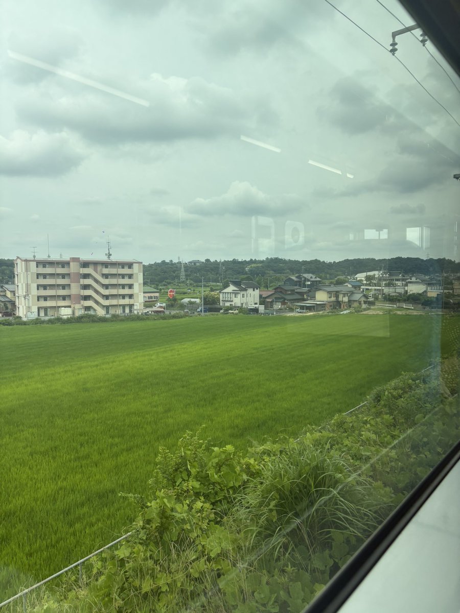 Itsuki_pua's tweet photo. しばらく愛知県に滞在します。 https://t.co/HKPsuXPedw