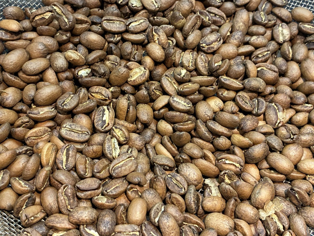 moritakoffee's tweet photo. 店主です。

当店全てのコーヒー豆の焙煎をお願いしている珈琲工房リバティさんで、すんごいの試飲してきました…😇

ゲイシャ…しかもパナマ…さらにエスメラルダ農園…！サイフォンで提供するお店は日本、いや世界中でもそう無いはず…。ごく少数ですが確保できそうです。ご興味ありますでしょうか？ https://t.co/eGe6XzpxHB