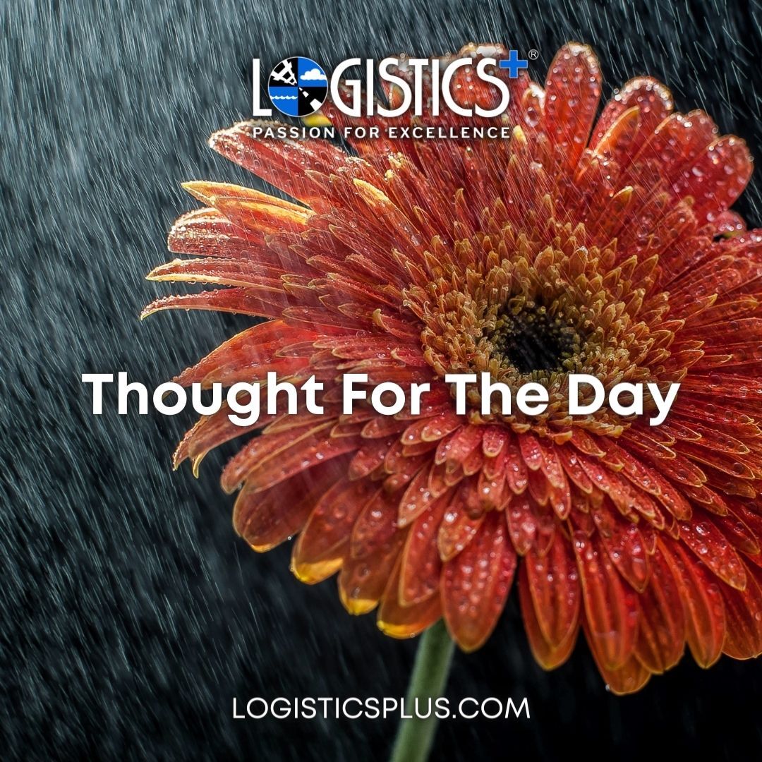 Logistics Plus Inc. tweet media