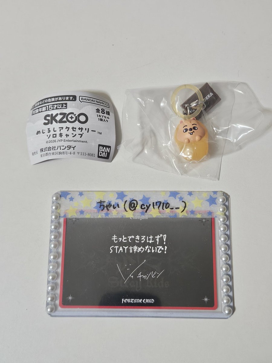 cy1710__'s tweet photo. (交換)スキズ SKZOO めじるしアクセサリー ソロキャンプ

譲 : ハンクォッカ 🐿
求 : パピーム 🐶

郵送交換希望📮
お気軽にお声掛けください。 https://t.co/mgB5Agsb3K