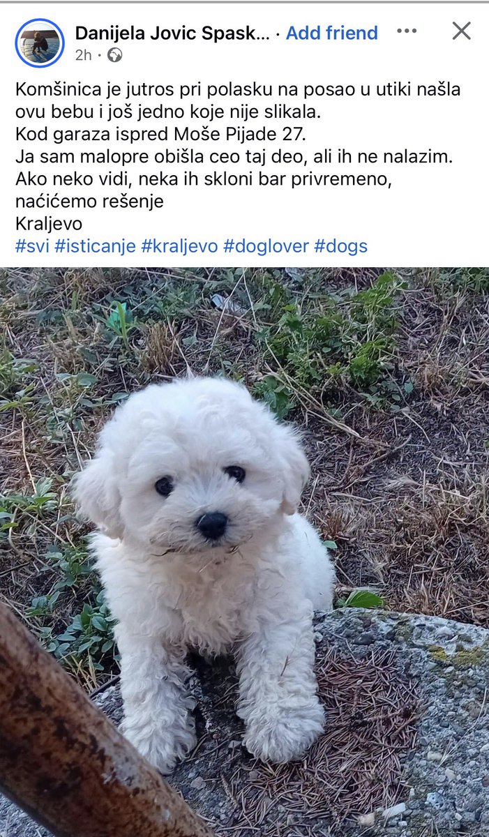 izvesnavesna's tweet photo. Kraljevo!
Dokle god ovaj narod izbacuje bebe, nije zaslužio ništa bolje od ovoga sto živi! 
Rt rt rt https://t.co/hBrSOoONQ8