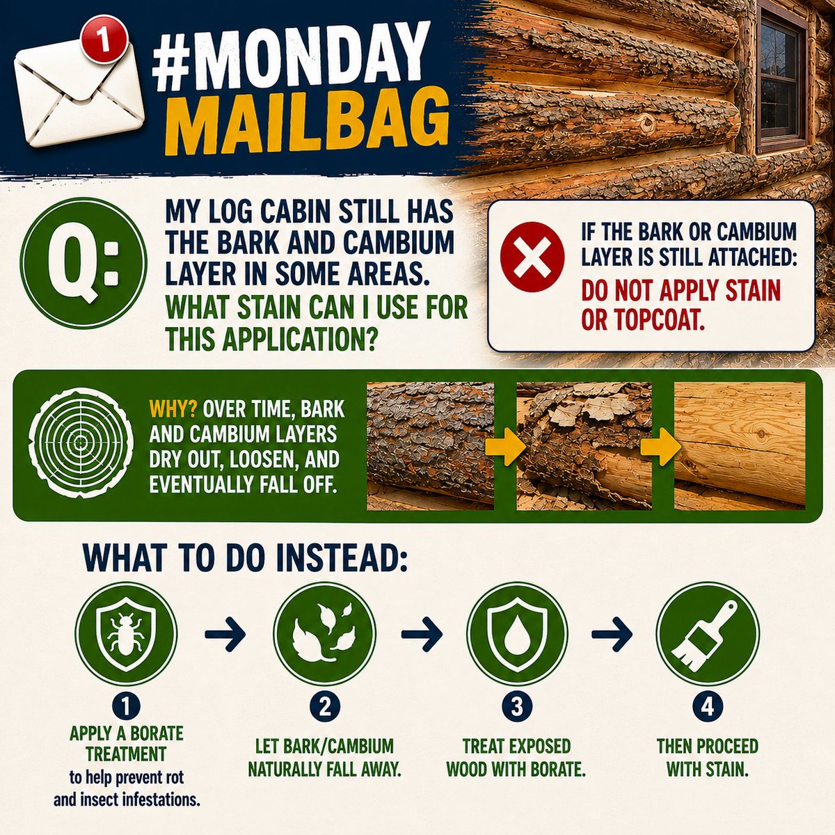PERMACHINK's tweet photo. ๐ฌ #MondayMailbag
Still have bark or cambium layers on your logs? ๐ค
๐ชต Donโt stain it yet.
โ๏ธ Apply borate treatment
โ๏ธ Let bark/cambium naturally fall off
โ๏ธ Treat exposed wood
โ๏ธ Then stain
#LogHome #WoodCare #CabinLife #Borate https://t.co/DFOo8bFMmx