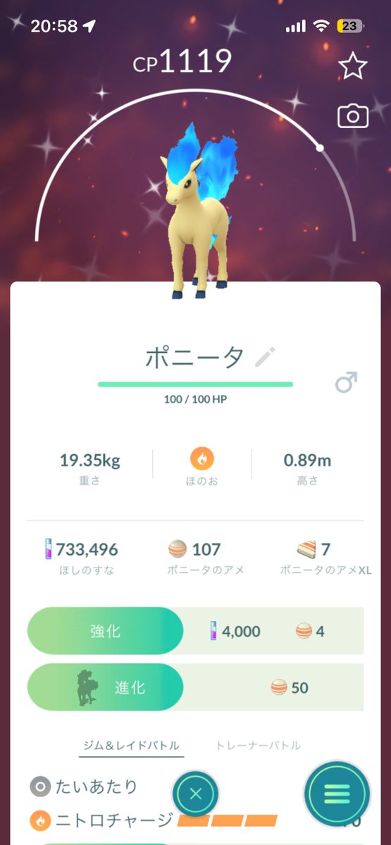みとかい/ポケGO tweet media