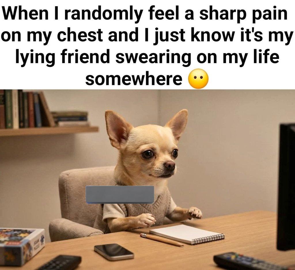 prosper1933194's tweet photo. When I randomly feel a sharp pain on my chest and I just know it's my lying friend swearing on my life somewhere 😶
The Growth Rules
#USAdogs #UKdogs #LondonPuppies #USAPuppies #Chihuahua https://t.co/SiwAjxvB9C