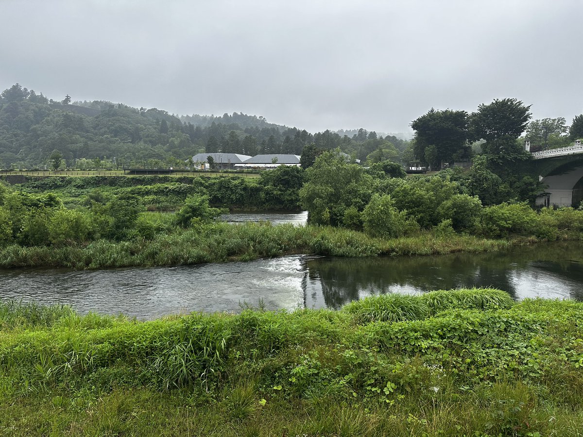 infoeqtm's tweet photo. 7/5(日)GARDEN of RIVER,SENDAI projectさんの水辺の青空学校「川で遊ぼう」。カワラバンさんが講師🐟大橋上流の「せせらぎ水路」にたまった土砂を、皆で運び出し、水の流れが増えた💪✨ギバチやアブラハヤのほか、大雨の影響で周りの田んぼから流れ込んだと思われるドジョウやオタマジャクシも👀 https://t.co/FnCf8XyUgR