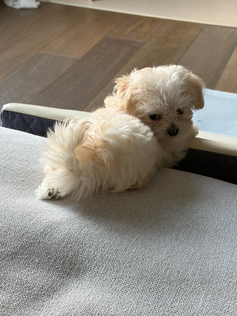 nnrxjnnn's tweet photo. แม่เหมือนฉัน https://t.co/f7gQ3LyiGf