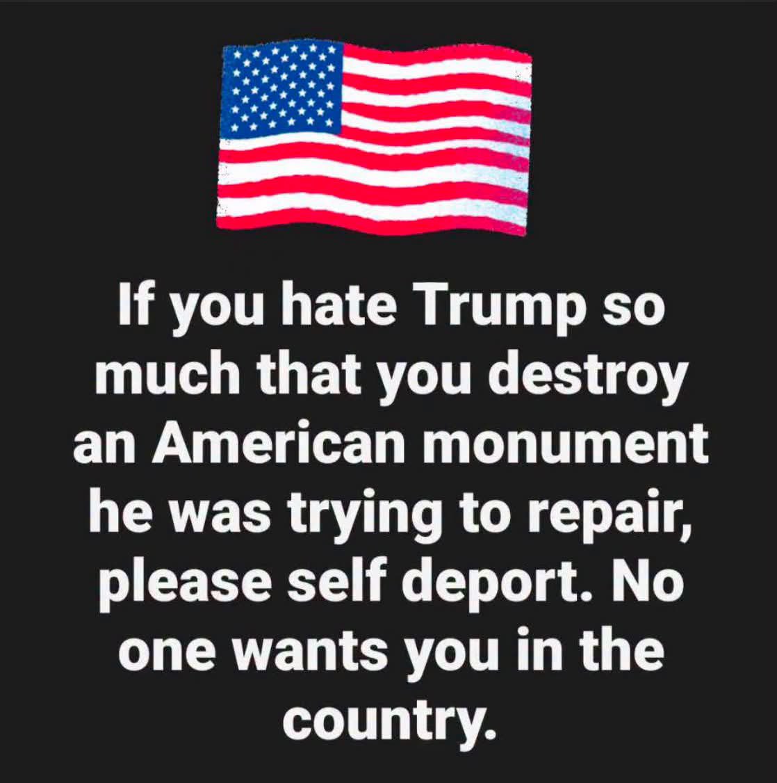 mickitiki's tweet photo. I’m all for a National Day of Self Deportation for those who hate America. https://t.co/f5me1XNQvw