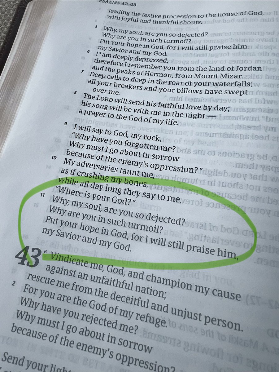 ArtRainer's tweet photo. From my morning reading:

Why, my soul, are you so dejected? 
Why are you in such turmoil? 
Put your hope in God, for I will still praise him, my Savior and my God.

- Psalms 42:11 https://t.co/zCwnUSQ2jO
