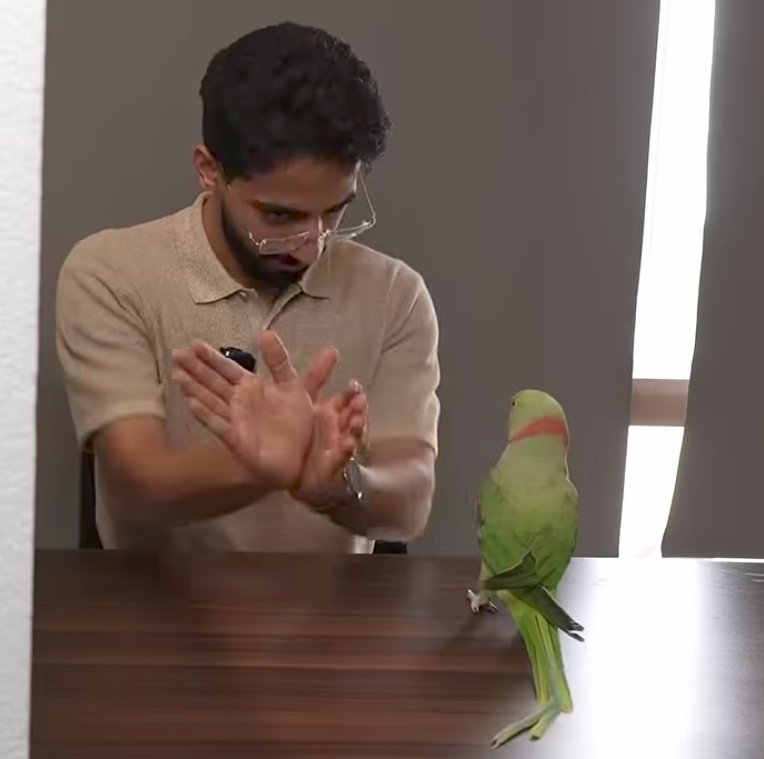 • 𝗁𝖺𝗇𝖾𝖾𝗇 : 🦢 tweet media