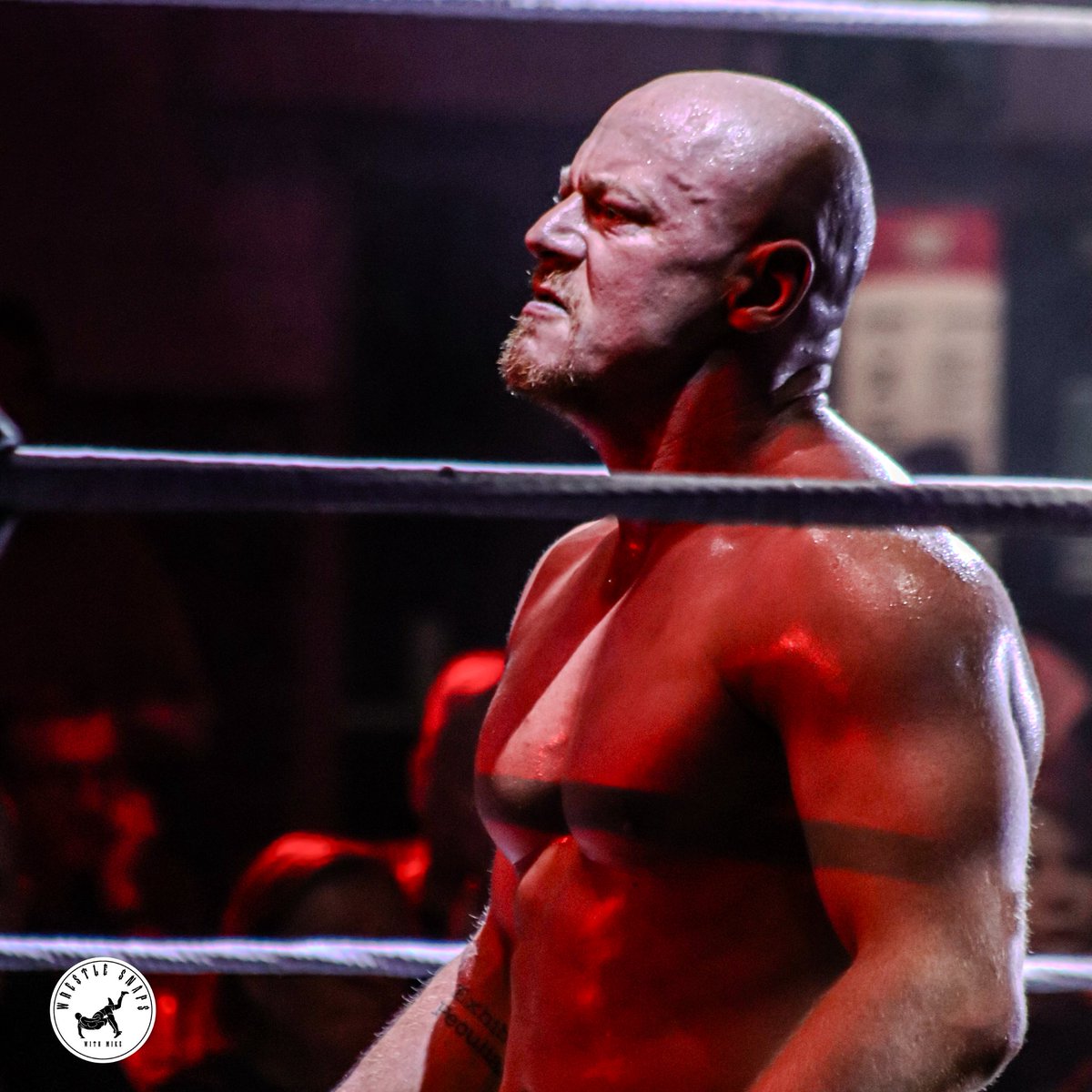 Wrestle Snaps tweet media