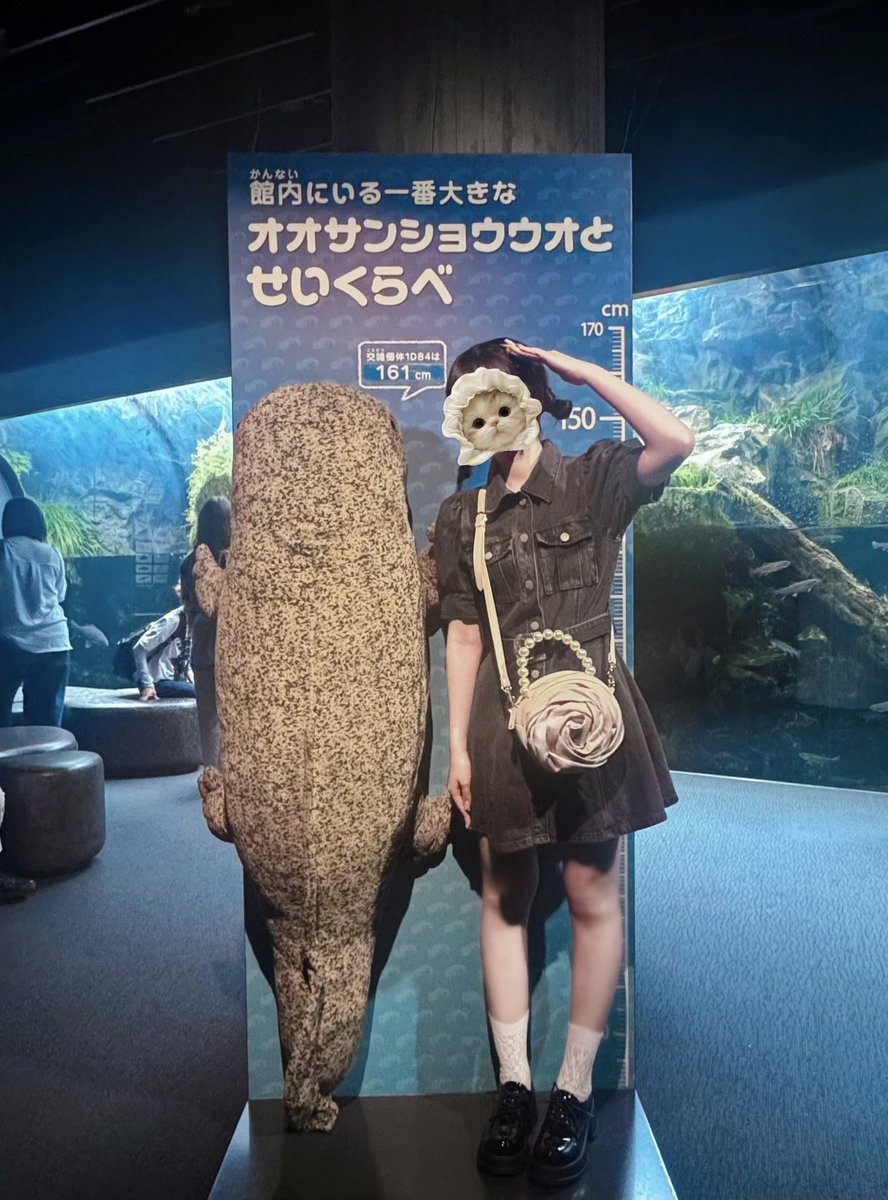 413dayo_'s tweet photo. きれいだった🪼🐬♡
#日常垢 #日常垢さんと繋がりたい https://t.co/PFHjql4vlf