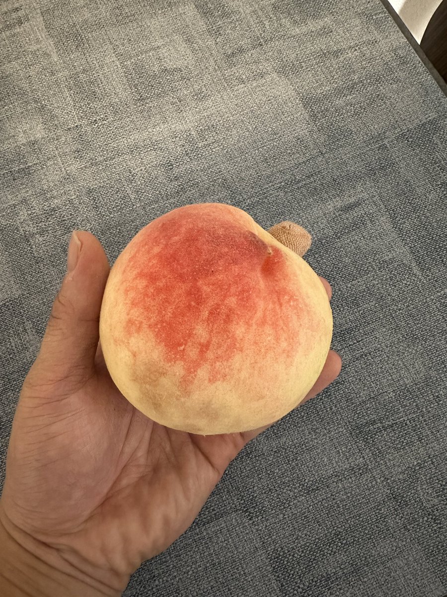 bon_tenn's tweet photo. アレルギーだから、これをこうしてこう！！！ https://t.co/FUTKfnxQEa