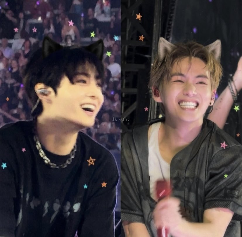 jkissthv's tweet photo. Just two happy pretty kitties 🐾 ݁ ⋆ https://t.co/gMaKafLUL8