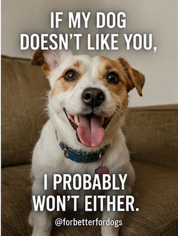 forbetterfordog's tweet photo. https://t.co/fFklo076Tx