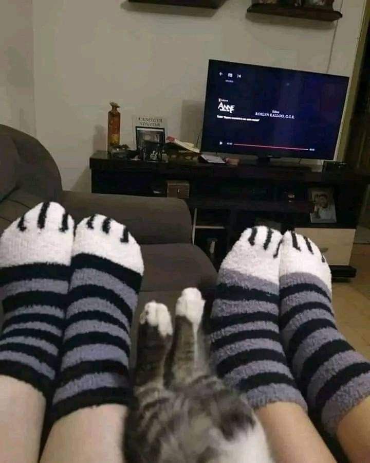 wiwiskz's tweet photo. minsung dorm https://t.co/4XInJ1cO4D
