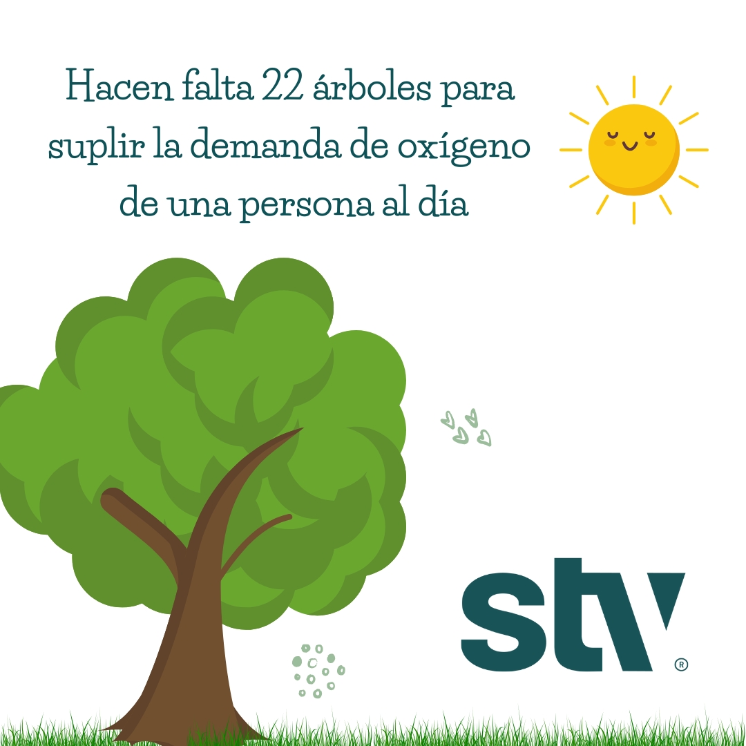 STVTorrePacheco's tweet photo. 🌱 En #STVGestión tenemos claro que los árboles son salud, sombra y oxígeno.
👉 Por eso, plantamos cada año más de 2.000 árboles, en municipios como #TorrePacheco.
#STV #ServiciosParaTuTranquilidad #ElPlacerdeHacerloMejor @TPacheco_Ayto https://t.co/CSjmPfGjp9